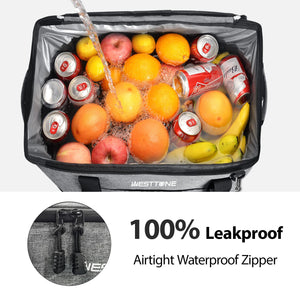 Cooler Bag, Portable For Grocery Shopping, Camping, Amazon Logistics, Walmart Banned, No Weekend Delivery